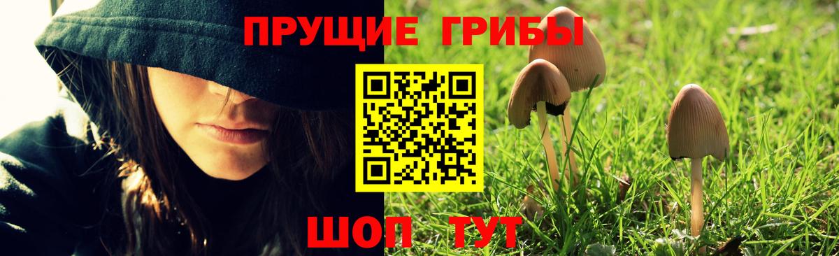 купить наркотики цена  Вход с VPN  Галлюциногенные грибы ЛСД  Боровичи  Галлюциногенные грибы Magic Shrooms 